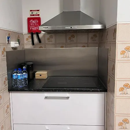 Apartman Casas Dona Emilia Vieira de Leiria